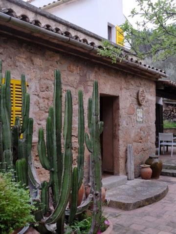 Hostal Catalina Vera ポルト・ダンドラッチ エクステリア 写真
